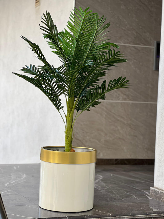 Yapay Arekalı Gold Çemberli Krem Saksı