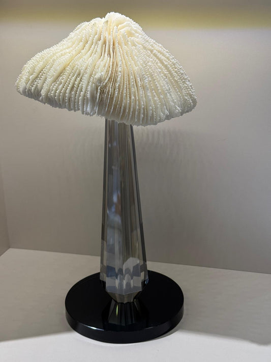 Kristal Kaideli Doğal Mercan Mantar Dekor Füme