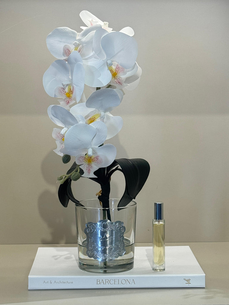 Armalı Cam Vazoda Islak Orkide Tanzimi No:9