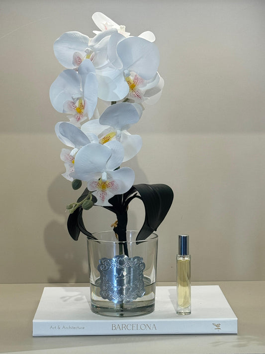 Armalı Cam Vazoda Islak Orkide Tanzimi No:9
