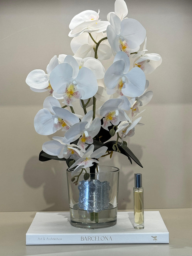 Armalı Cam Vazoda Islak Orkide Tanzimi No:7