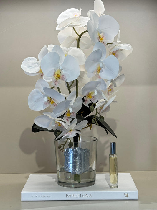 Armalı Cam Vazoda Islak Orkide Tanzimi No:7