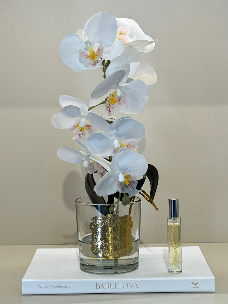 Armalı Cam Vazoda Islak Orkide Tanzimi No:2