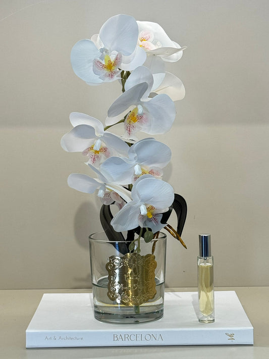 Armalı Cam Vazoda Islak Orkide Tanzimi No:2