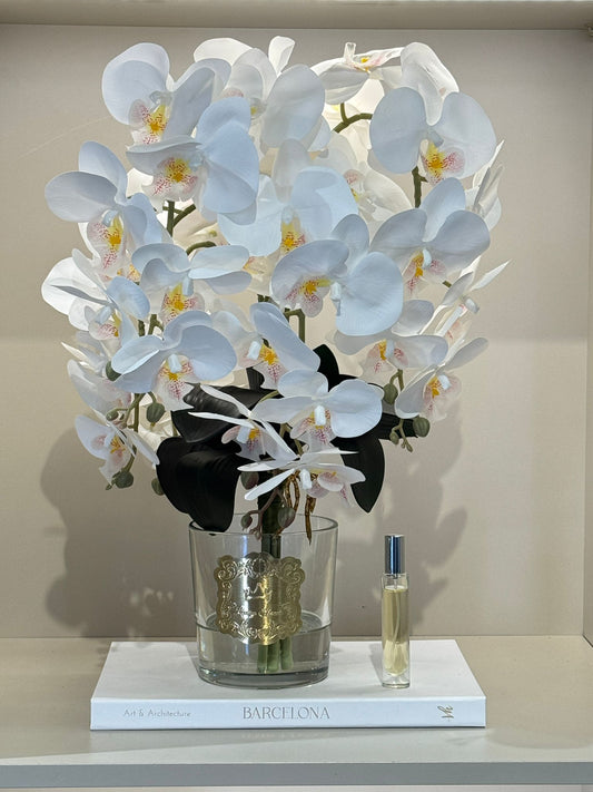 Armalı Cam Vazoda Islak Orkide Tanzimi No:10