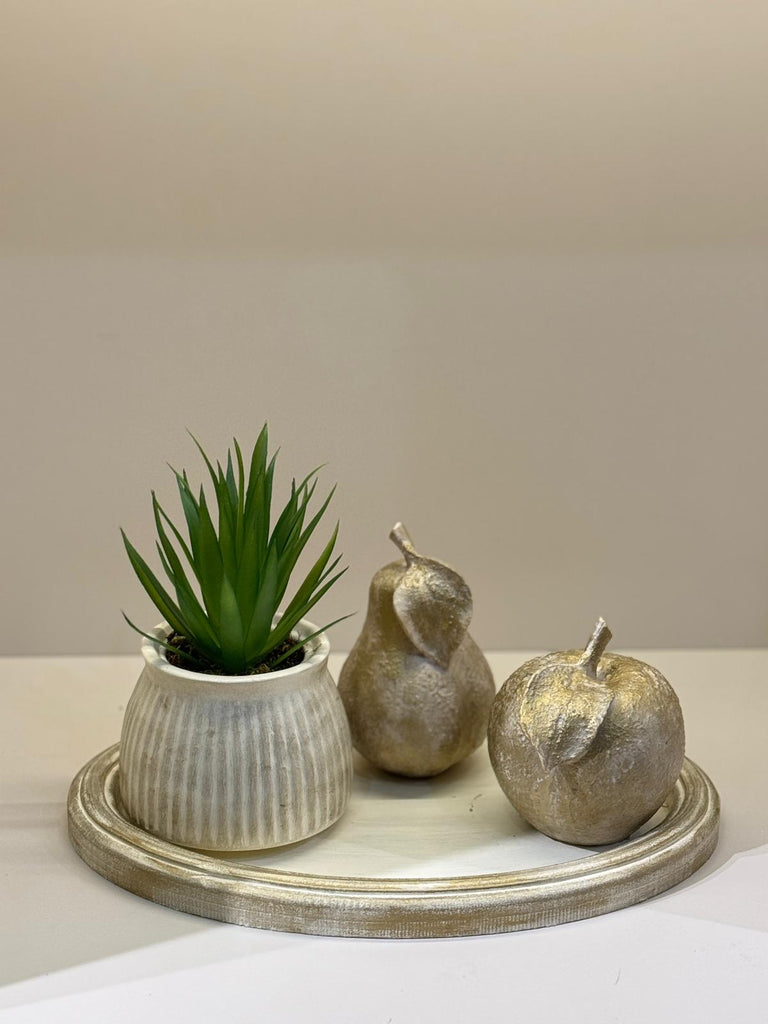 Kampanyalı Tepsili Skulent Meyveli Set