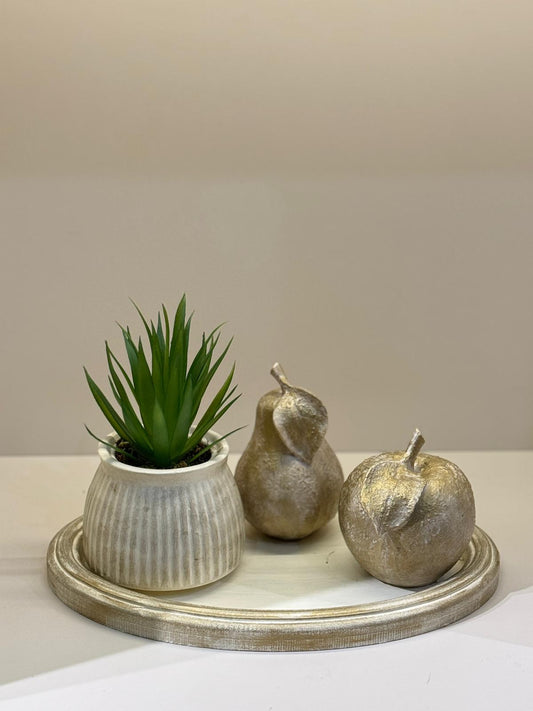 Kampanyalı Tepsili Skulent Meyveli Set