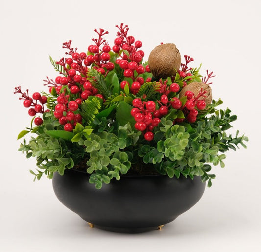 Kırmızı Kokinalı Siyah Yassı Vazo Kampanyalı