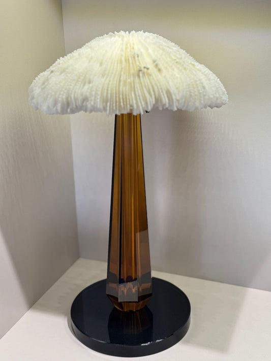 Kristal Kaideli Doğal Mercan Dekor Ambe